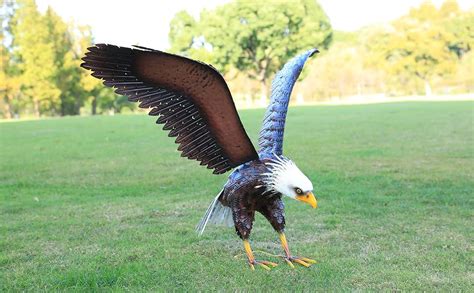 outdoor eagle for house